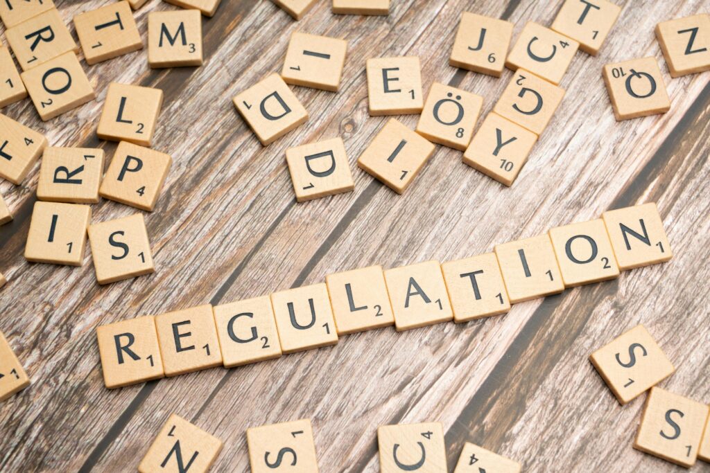 Emotional Regulation Challenges in Neurodivergent Adults
